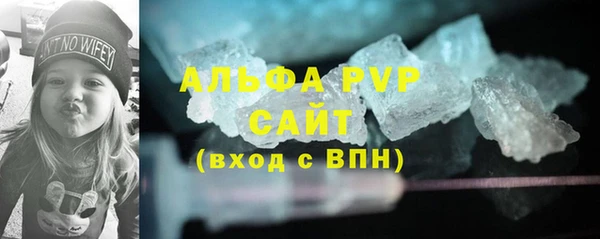 ПСИЛОЦИБИНОВЫЕ ГРИБЫ Тутаев
